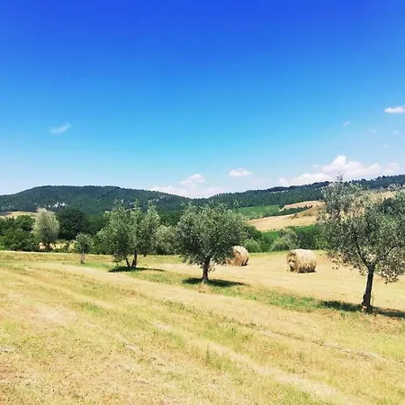 Bio Tuscan Farmhouse By The River, Peaceful Place Casa vacanze Caprese Michelangelo