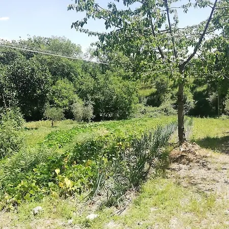 Bio Tuscan Farmhouse By The River, Peaceful Place Casa vacanze *