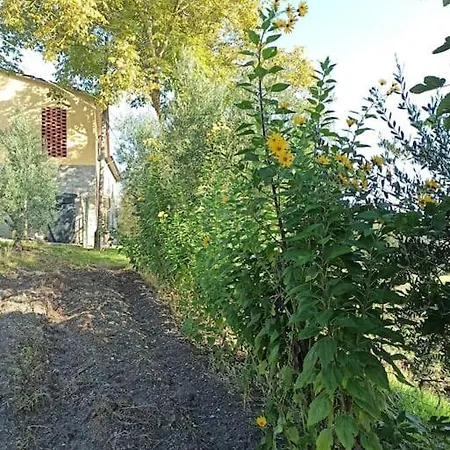 Casa vacanze Bio Tuscan Farmhouse By The River, Peaceful Place